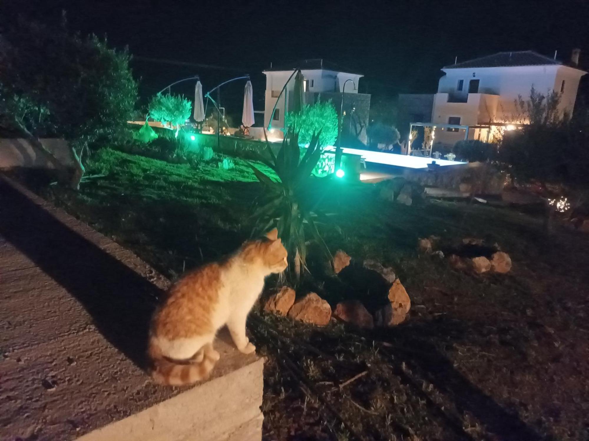 Σπίτι διακοπών Rodi